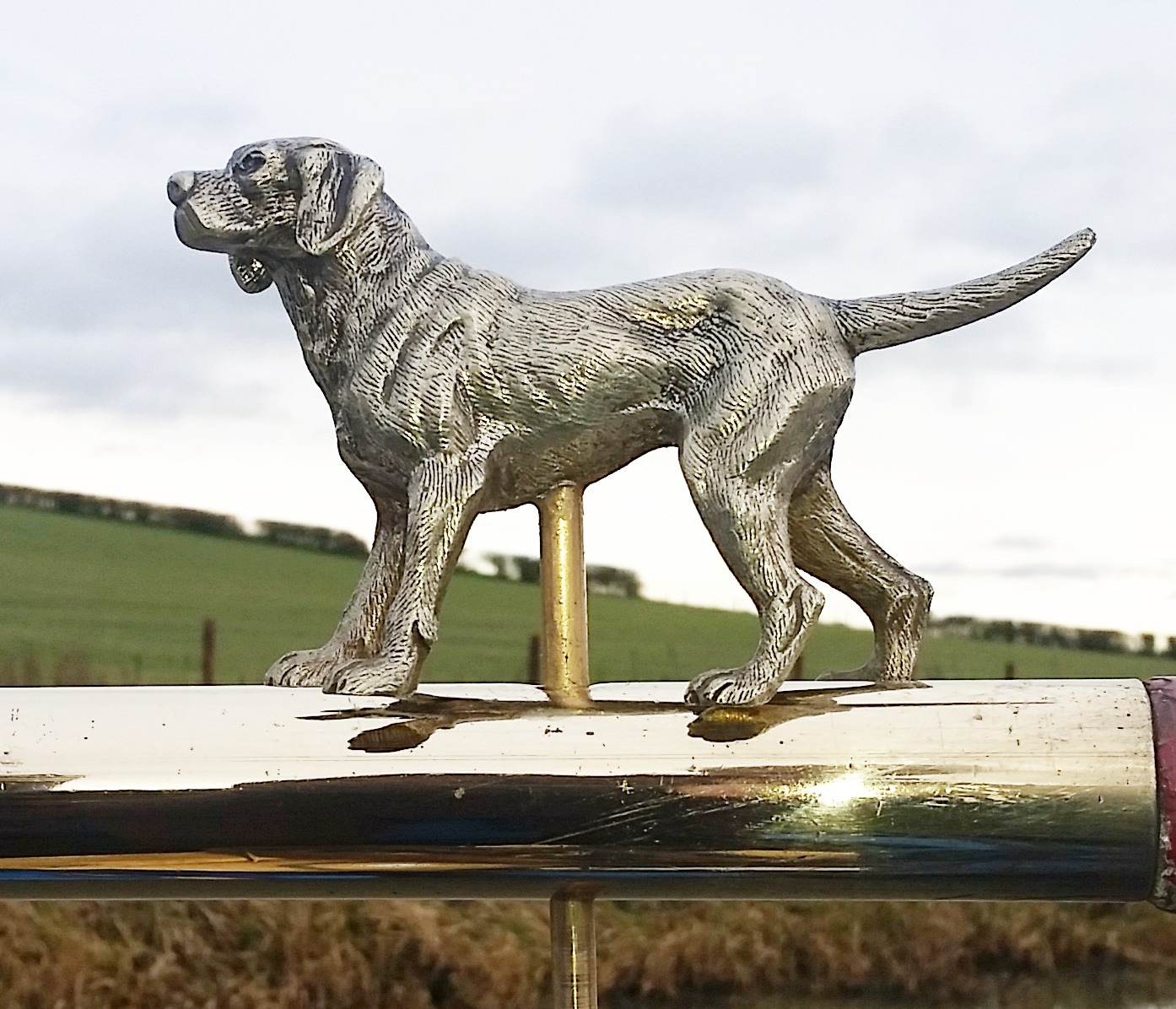 (image for) Labrador Tiller Pin